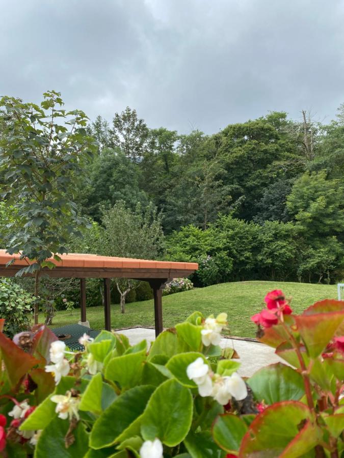 2 Apartamentos En Villa Con Piscina Privada En Asturias El Marquesau Noriega Buitenkant foto